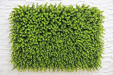 FANTHFUL出品《幽灵诡计》主题官方授权系列周边介绍